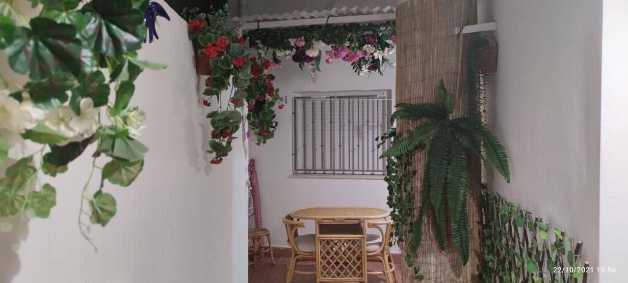 Tus Vacaciones En El Corazon De Alicante! Екстериор снимка